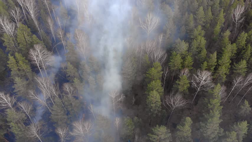 You are currently viewing aerial-view-smoke-of-wildfire-2021-08-30-05-06-31-utc-mov